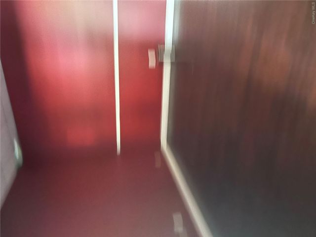 [PHOTO]