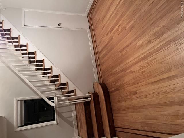 [PHOTO]