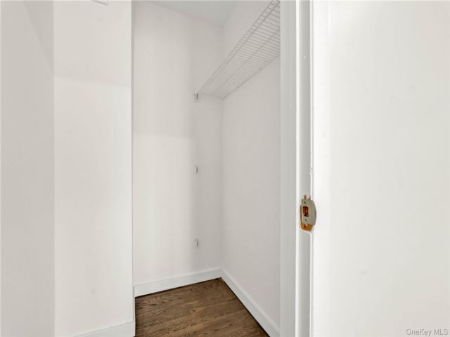 [PHOTO]