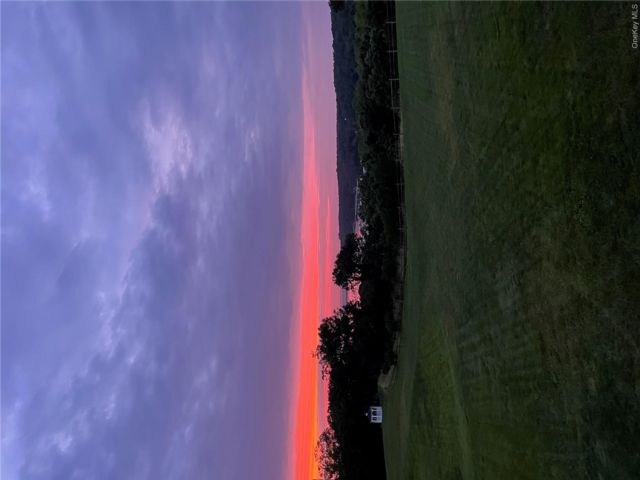 [PHOTO]