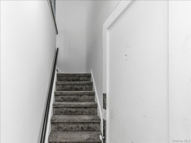 [PHOTO]