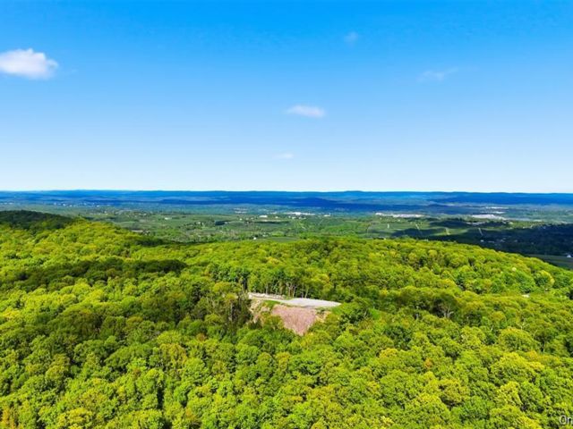 [PHOTO]