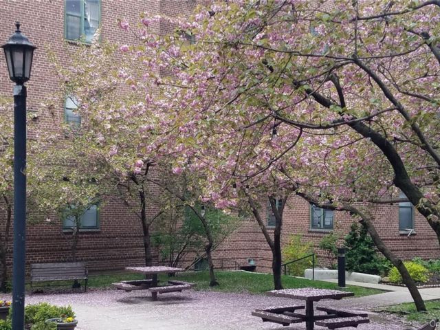  2 BR,  2.00 BTH &nbsp;Other style home in Jackson Heights
