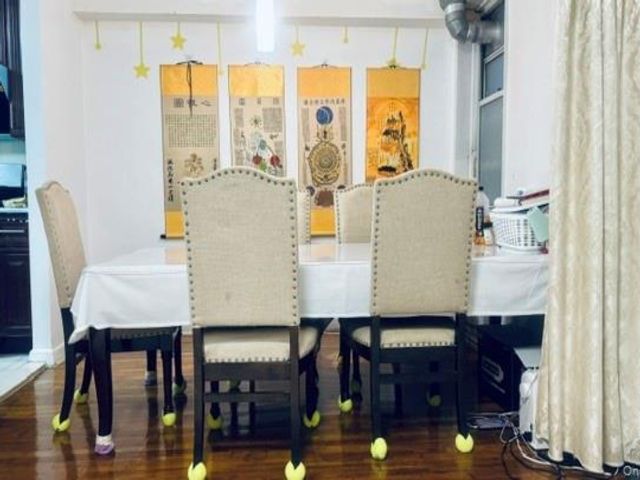 [PHOTO]