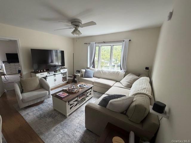 [PHOTO]