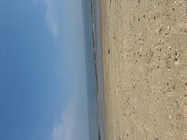 [PHOTO]