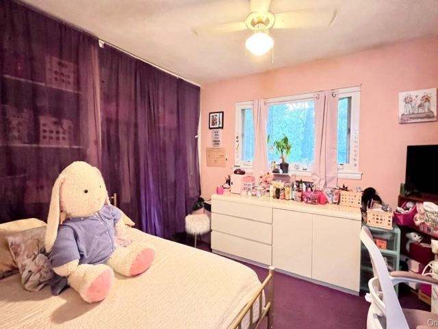 [PHOTO]