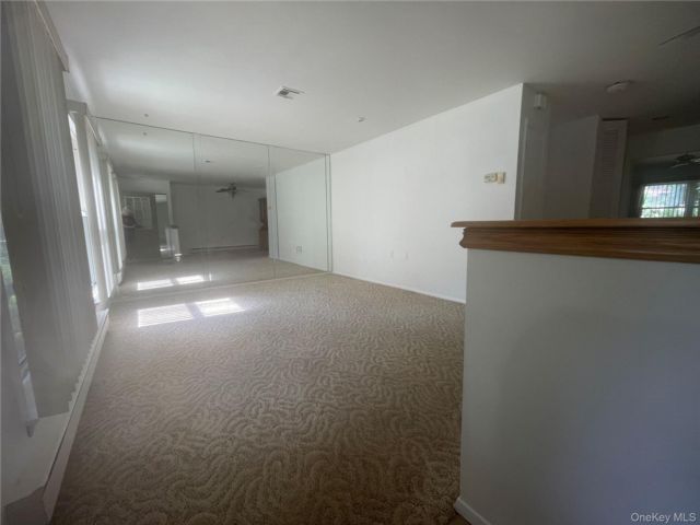 [PHOTO]
