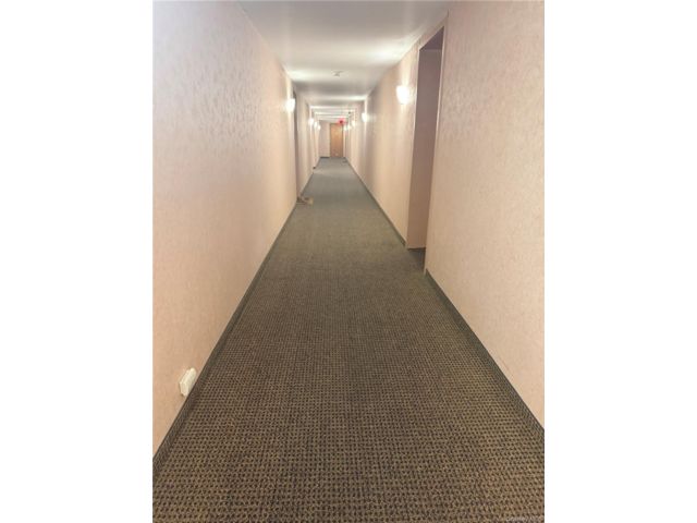 [PHOTO]