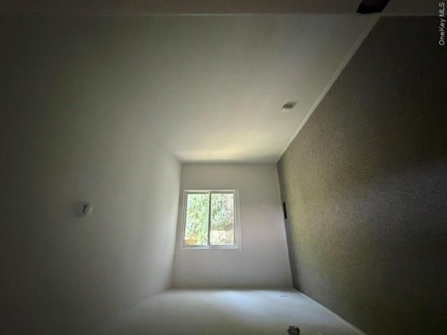 [PHOTO]