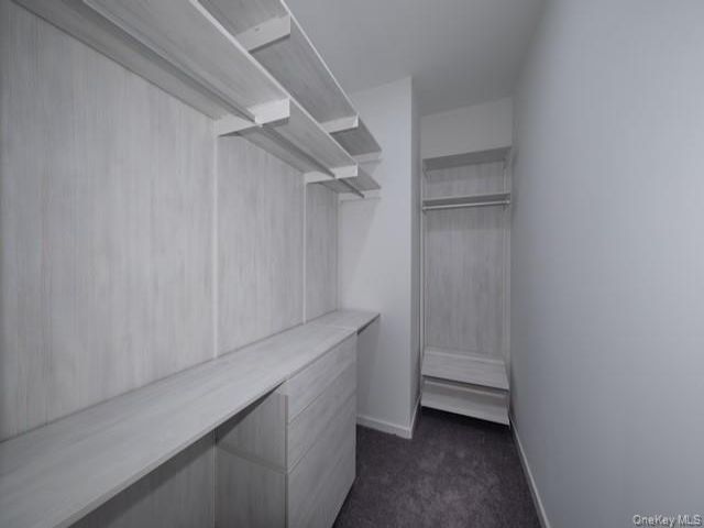 [PHOTO]