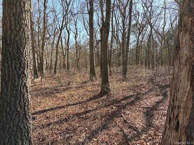 [Ridge Real Estate, listing number 7333504]