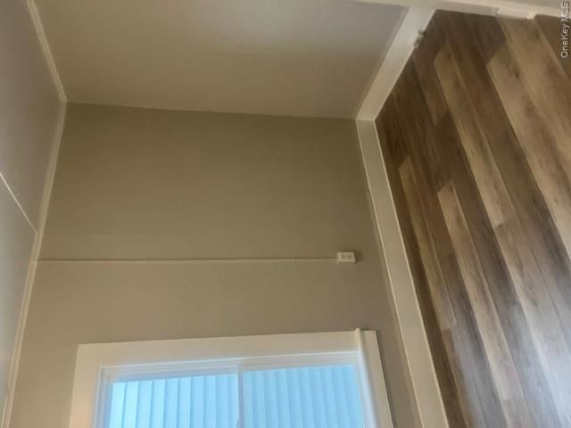 [PHOTO]