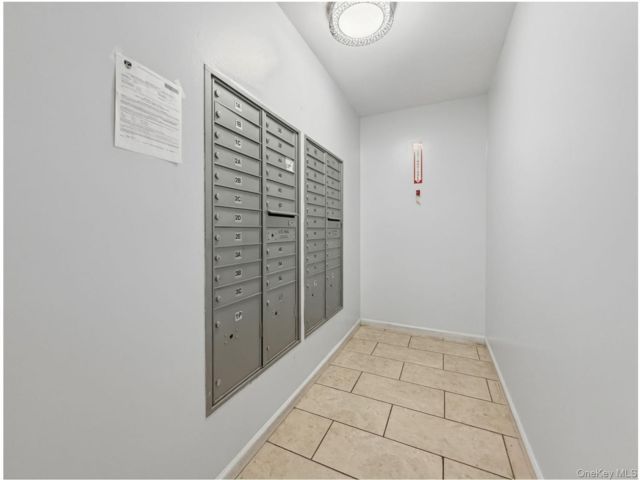 [PHOTO]