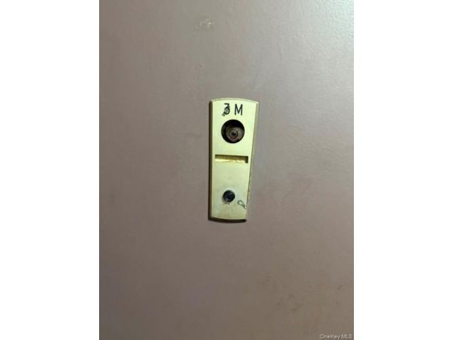 [PHOTO]