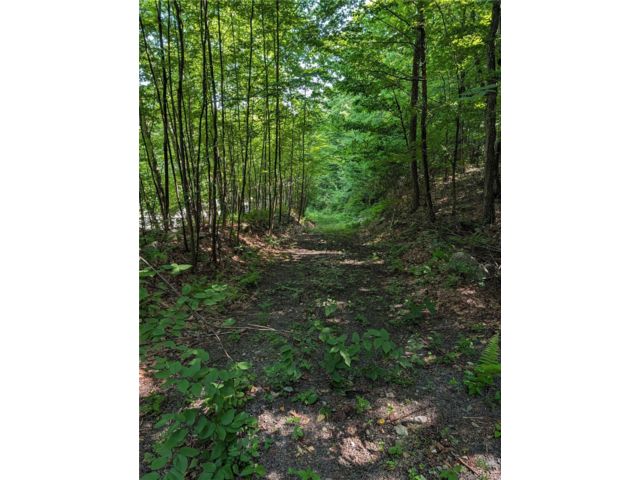 Lot <b>Size:</b>  &nbsp;House style home in Port Jervis