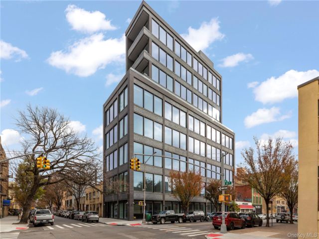 [PHOTO]