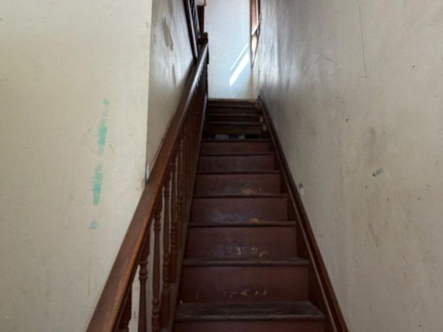 [PHOTO]