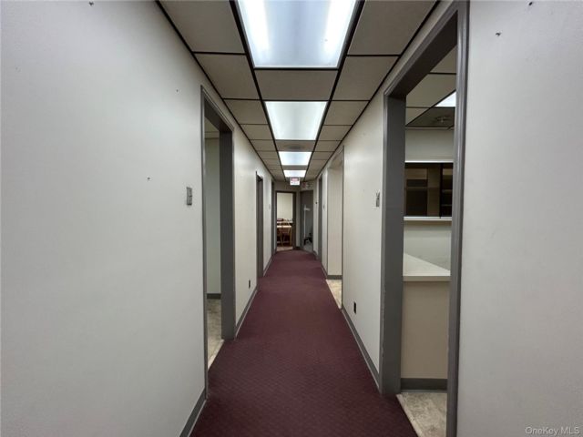 [PHOTO]
