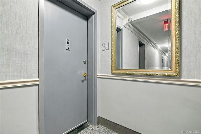 [PHOTO]