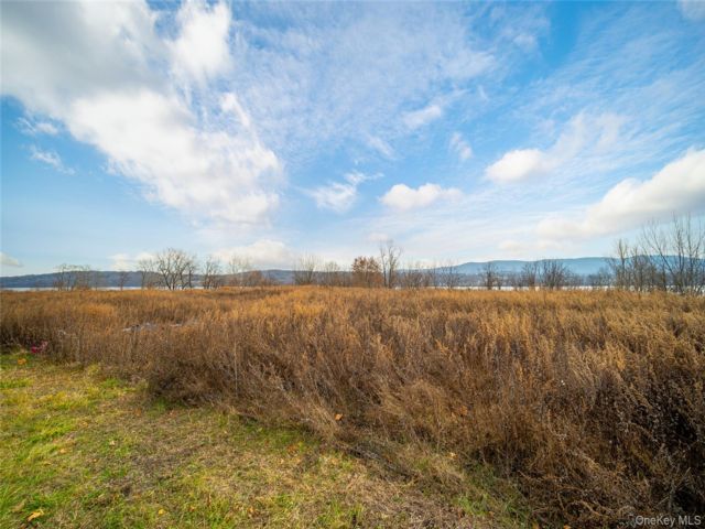 [PHOTO]