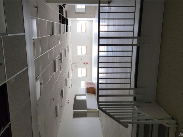[PHOTO]