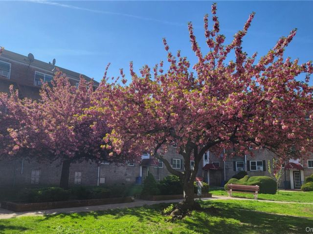 [Forest Hills Real Estate, listing number 7347720]
