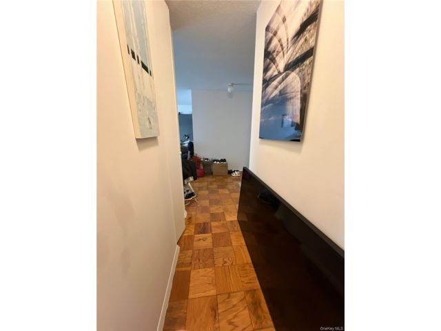 [PHOTO]