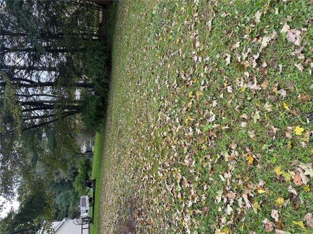 [PHOTO]