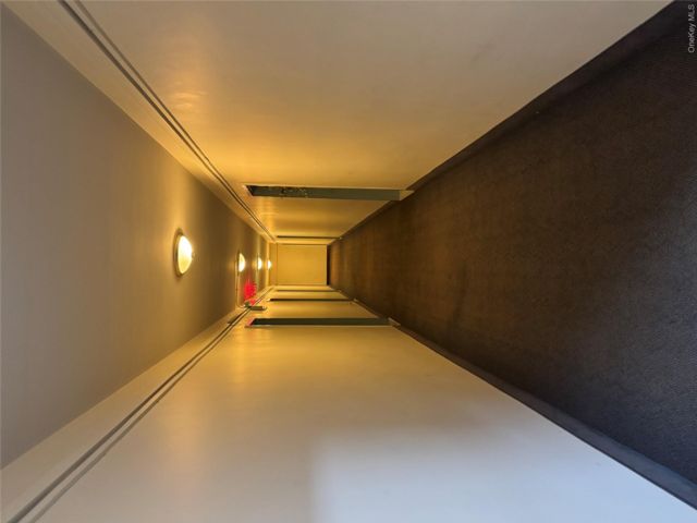 [PHOTO]