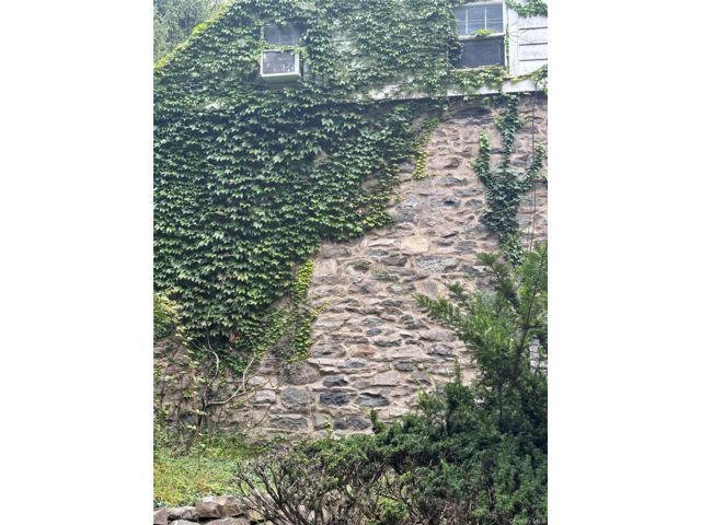 [PHOTO]